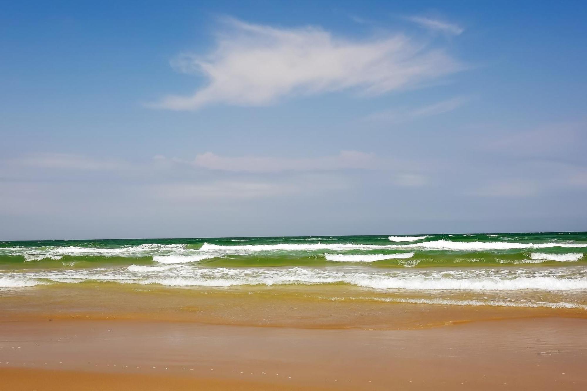 Surfside Condos South Padre Island Phòng bức ảnh