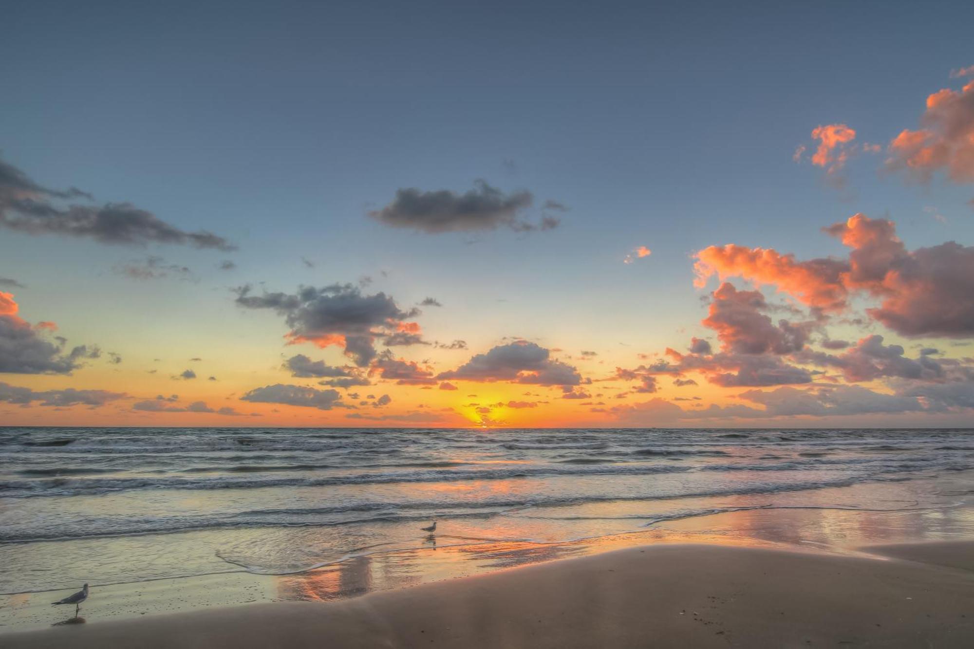 Surfside Condos South Padre Island Phòng bức ảnh